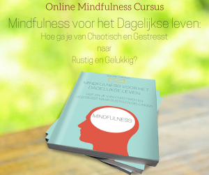 Mindfulness in Roermond